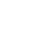 Pro Icon