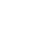 Advanced Icon