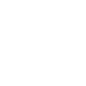 Intermediate Icon