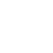 Recreational Icon